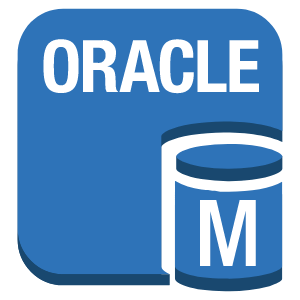 Oracle DB Instance
